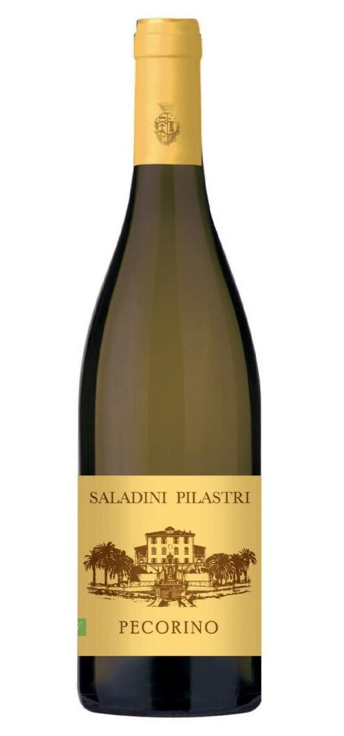 Saladini-Pilastri-pecorino-web-800x1067